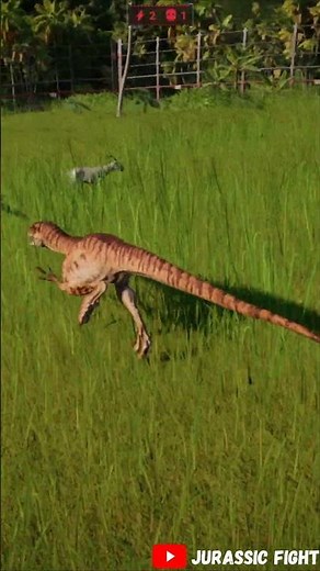 Velociraptor Hunts a Goat – Jurassic Style Ambush! 🦖🐐