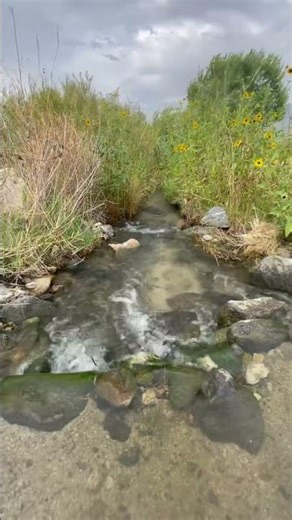 Wade with Me in an Eastern Sierra Hot Spring