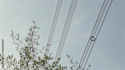 Static view of overhead power lines with circular vibration dampers attached to conductors, reducing wind induced oscillations and protecting voltage transmission cables!