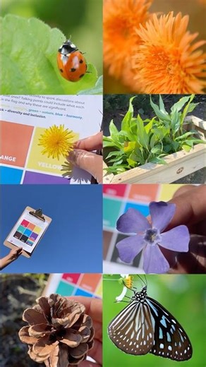 Rainbow Scavenger Hunt #shorts #nature