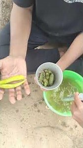 #Chintapandu #Bajji #village-style video:🌿 #Village /Vibes + #Chintapandu#Taste = Pure Bliss!🔥