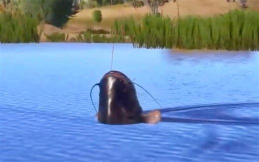 猪：我要起飞咯～（欧鲇又双星了喂）