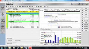 Primavera P6: Activity Usage Profile - Projects Analytics