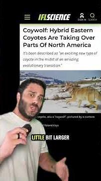 What Changed the Coyotes? A Stanley Park Case Study #animals #evolution #learning #vancouver science