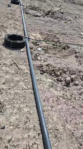 614K views · 5.4K reactions | Pas à pas nous avançons vers le but #algeria #pepinière #فسدق #growbox #PistachiersenAlgérie #algerie #alger #فسد #sarlLoudini #pistachiers #agriculture #farming #terrauboss #agriculturelife #irigreen #pistachio #pistache #loudiniagroind #loudini | SARL loudini AGRO IND | Facebook