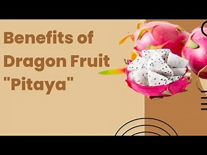 Benefits of Dragon Fruit "Pitaya"