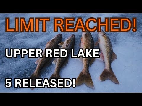 Upper Red Lake Walleye: How we found a 4-Fish Limit (9 Total!)