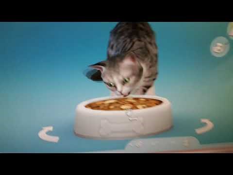 Sims 4 chien et chat comment avoir un animal sans adopter