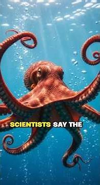 Octopus vs Human IQ Who’s Smarter Underwater? #short #animals #octopus #nature #facts #water #human.