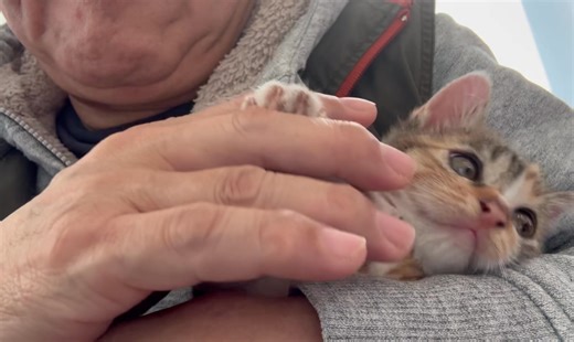 Koji Uchino on Reels