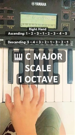 🎹Learn the C Major 1 Octave Scale Beginner🎹 #Shorts #ytshorts #trending #piano #easypianotutorial
