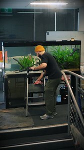 7K views · 366 reactions | Monthly maintenance of my customers office aquarium. It’s only been setup a few months since I added the plants so there’s the usual algae issues you get as the aquarium matures. Once the plant mass gets larger my expectations is that it will require less and less work to maintain. #plantedtank #natureaquarium #aquariummaintenance #aquascape | Qball Aquatics | Facebook