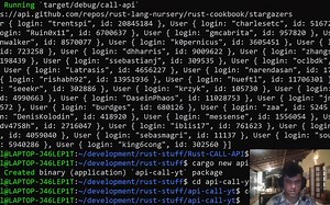 RUST Project - 调用api