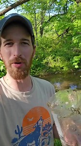 1.2K views · 13 reactions | Crayfish and minnow trap made with empty soda bottles #fyp #foryou #survival #survivaltips #fishing #outdoors #outdoorlife #selfreliance #lifehack | Camping & Bushcraft | Facebook