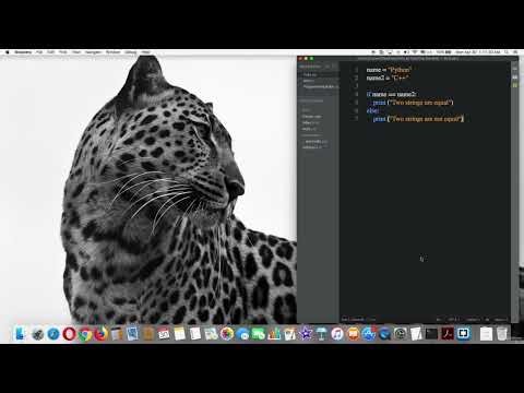 38 Compare Strings with if, else statements