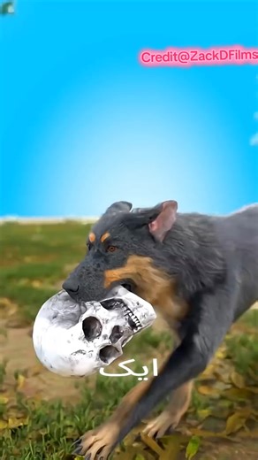 Inspiring Hindi Educational Video with Visual Remix