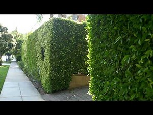 Singer Diana Ross Former Home House Beverly Hills California USA August 2021