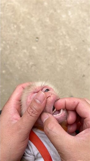Dad had a little trouble rescuing MiMi.