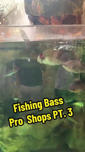 How to Catch Giant Bass at Bass Pro Shops