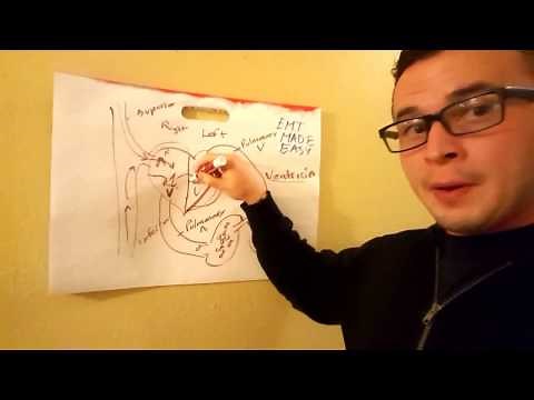 EMT Cardiac Anatomy / EMT MADE EASY