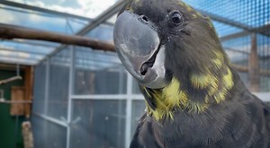 17K views · 597 reactions | Today is an exciting day for one of our...