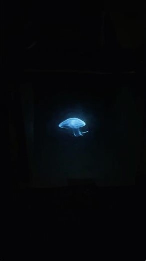 DIY hologram box🪼|hologram projector #shorts