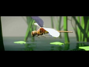 Dragonfly modeling and animation - Blender