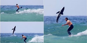 Footage shows a shark jumping out of the water after a surfer on a California beach