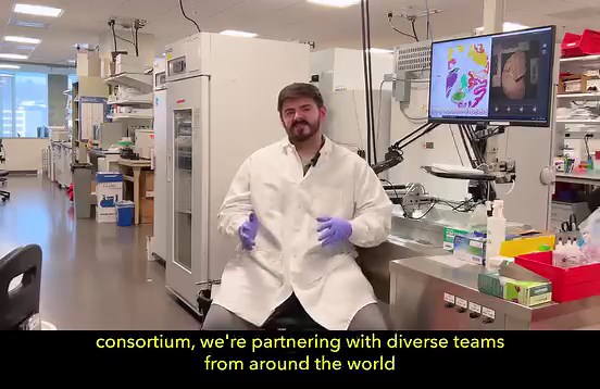 1.7K views · 25 reactions | What brain cells are impacted in diseases like Alzheimer’s? Together with diverse teams around the world, we are mapping the human and non-human primate brain to better understand what goes wrong in disease. #BrainWeek #studyBRAIN | Allen Institute | Facebook