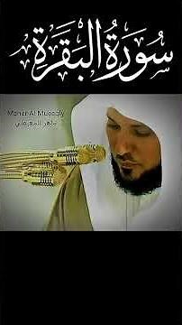 سورة البقرة ماهر المعيقلي