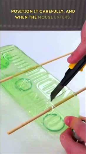 🐭♻️ This Humane Mouse Trap Is So Simple It’s Genius 😳