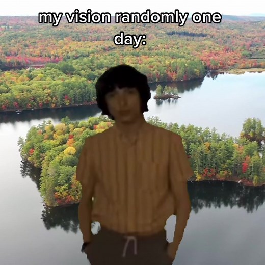 ✨ My vision randomly one day ✨ #fyp #visualsnow #visualsnowsyndrome #vss #health #doctor #LearnOnTikTok #neurodivergent #education #medical #nonprofit #charity #tiktok #explore #video #neurology #anxiety #depression #science #eyes #vision #brain #chronicillness #invisibleillness #viral #instagram #love #common #photography #trending #trend #anxiety #strangerthings #mikewalking #finnwolfhard #symptoms #ophthalmology #neurology #migrainetiktok #floaters #palinopsia #trees
