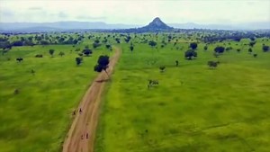 17K views · 128 reactions | Through innovations in irrigation and modern farming techniques, #Ethiopia is transforming its rice production, ensuring long-term food security. 'This year's rice production is much larger than last year's." PM Abiy Ahmed Follow our official Twitter(X) account here: https://x.com/EthiopiainUae/status/1837748931024867719 | Ethiopian Embassy - UAE / AbuDhabi | Facebook