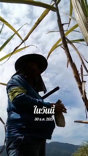 #วันนี้ในอดีต