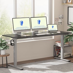 FLEXISPOT 60"x24" Home Office Height Adjustable Standing Desk with Hooks, Ergonomic Electric 2-Stage Stand Up Computer Desk, Gray and Black - Walmart.com
