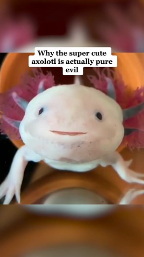 Gabbin With Gavin on TikTok