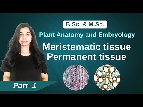 Plant Anatomy and Embryology || Meristematic tissue & Permanent tissue || B. Sc. & M. Sc.