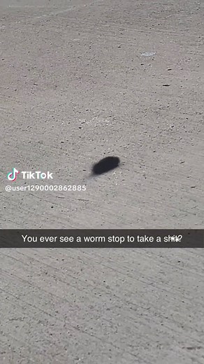 #wormwalkin