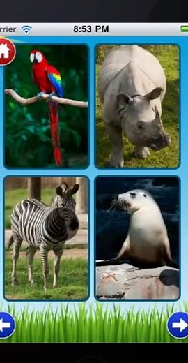 Zoo Sounds 2 Preview on iPhone