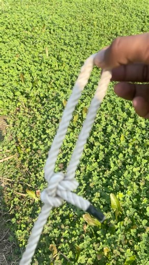 This Rope Knot is Super Strong #campingtips #gtknot #bowlineknots #rope #camping #shorts
