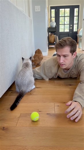 290K views · 10K reactions | that’s where my contact lenses went.. | Abram Engle | Facebook