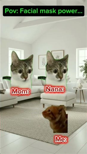 CAT MEMES: Facial mask power ✨😊🍎