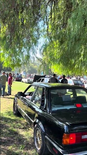 Old BMWs for days. Socal Vintage BMW 2025