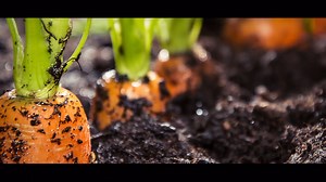 42 reactions | Define #sustainability… 聯 聯 When it comes to #agriculture there are as many sustainability definitions as there are seeds in a field! Here’s what it means to some of our #BASFDinnerIsGrown participants. Now it’s YOUR turn to tell us what you think. You know the drill.  | BASF Agricultural Solutions | Facebook