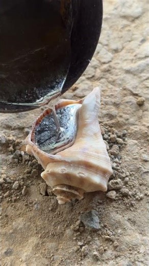 So satisfying 😌 #shorts #viralvideo #reels #satisfying