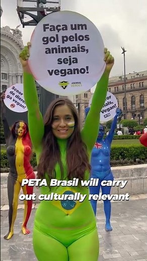 Big news for animals in Brazil 🇧🇷💙