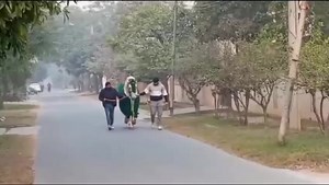 33K views · 7.9K reactions | Masoom badshah model town Lahore | Zuljinah Waley | Facebook