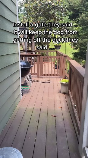 Tamantha on TikTok