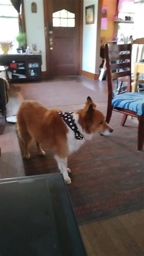 Kim Booth on Reels | Facebook