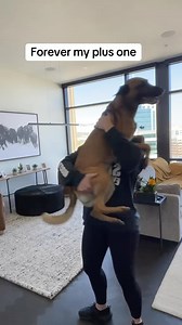 103 reactions · 4 comments | At least I’m not a single lady with cats. Just a single lady with a narcotics K9 | Code Red Lifestyle | Facebook